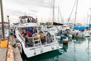Oahu: Waikiki Turtle Canyons Cruise og Snorkel Ekskursjon