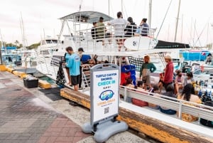 Oahu : croisière et snorkeling aux canyons des tortues à Waikiki