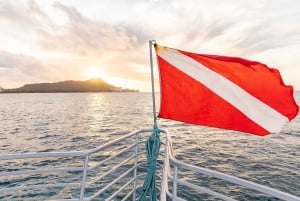 Oahu : croisière et snorkeling aux canyons des tortues à Waikiki