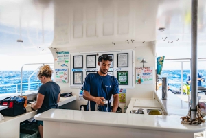 Oahu: Waikiki Turtle Snorkel Sail