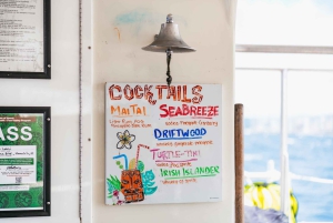 Oahu: Waikiki Turtle Snorkel Sail