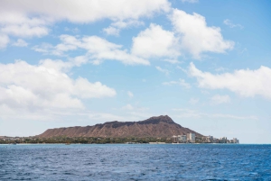 Oahu: Waikiki Turtle Snorkel Sail