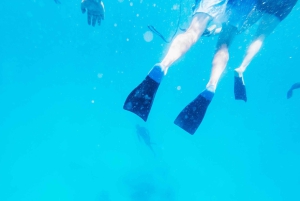 Oahu: Waikiki Turtle Snorkel Sail