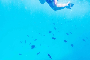 Oahu: Waikiki Turtle Snorkel Sail