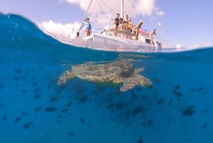 Oahu: Waikiki Turtle Snorkeling Adventure Cruise