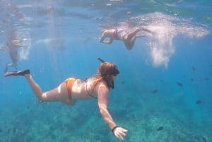 Oahu: Waikiki Turtle Snorkeling Adventure Cruise