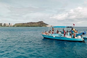 Oahu: Waikiki Turtle Snorkeling Adventure: Waikiki Turtle Snorkeling Adventure
