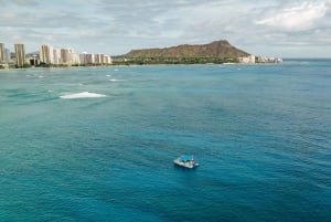 Oahu: Waikiki Turtle Snorkeling Adventure: Waikiki Turtle Snorkeling Adventure
