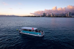 Oahu: Rejs wycieczkowy z obserwacją wielorybów w Waikiki