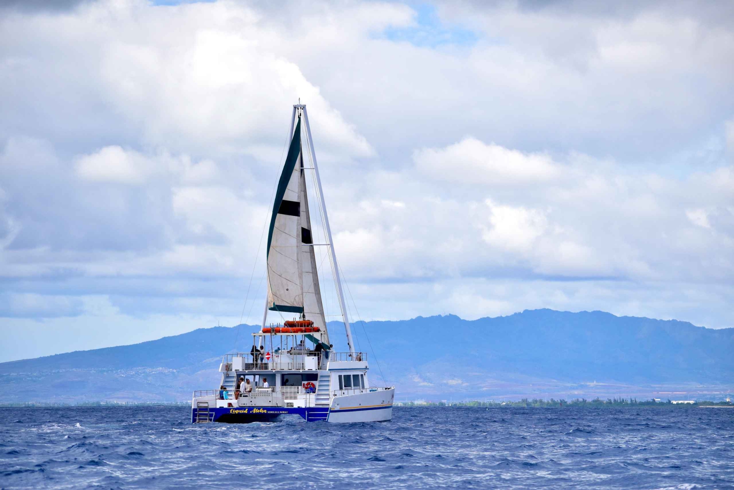 Oahu: Waikiki Whale-Watching-Bootsfahrt