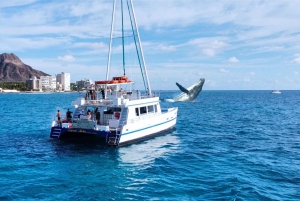 Oahu: Waikiki Whale-Watching-Bootsfahrt