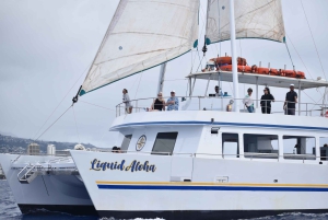 Oahu: Waikiki Whale-Watching-Bootsfahrt