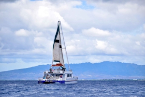 Oahu: Waikiki Whale-Watching-Bootsfahrt