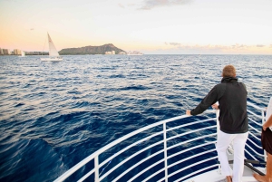 Oahu: Waikiki Whale Watching Tour-Donut og kaffe inkluderet