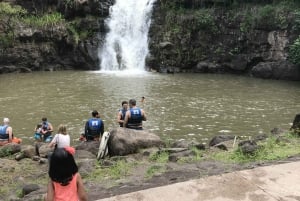 Oahu : Journée plage : chutes de Waimea et baignade avec les tortues sur le North Shore