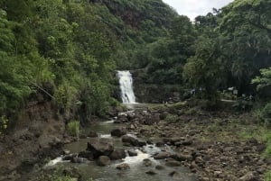 Oahu: Wodospady Waimea i North Shore, pływanie z żółwiami na plaży