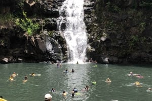 Oahu: Waimea Falls en North Shore zwemmen met schildpadden stranddag
