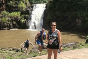 Oahu: Día de playa en las cataratas de Waimea y nado con tortugas en North Shore