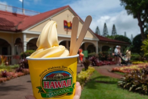 Oahu: Valley of Waimea Falls Swim & Hike with Lunch & Dole