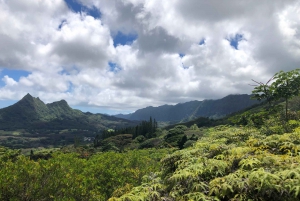 Oahu: Escursione alle cascate e giornata sulla spiaggia dell'East Side