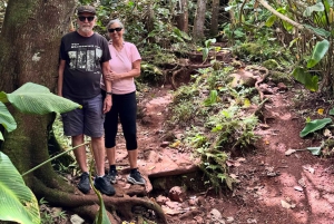 Oahu: Wasserfall-Wanderung über den landschaftlich reizvollen South Shore Drive