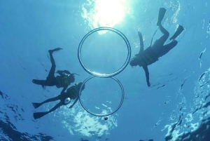 Hvalsafari og skilpaddesnorkling på vestkysten av O'ahu