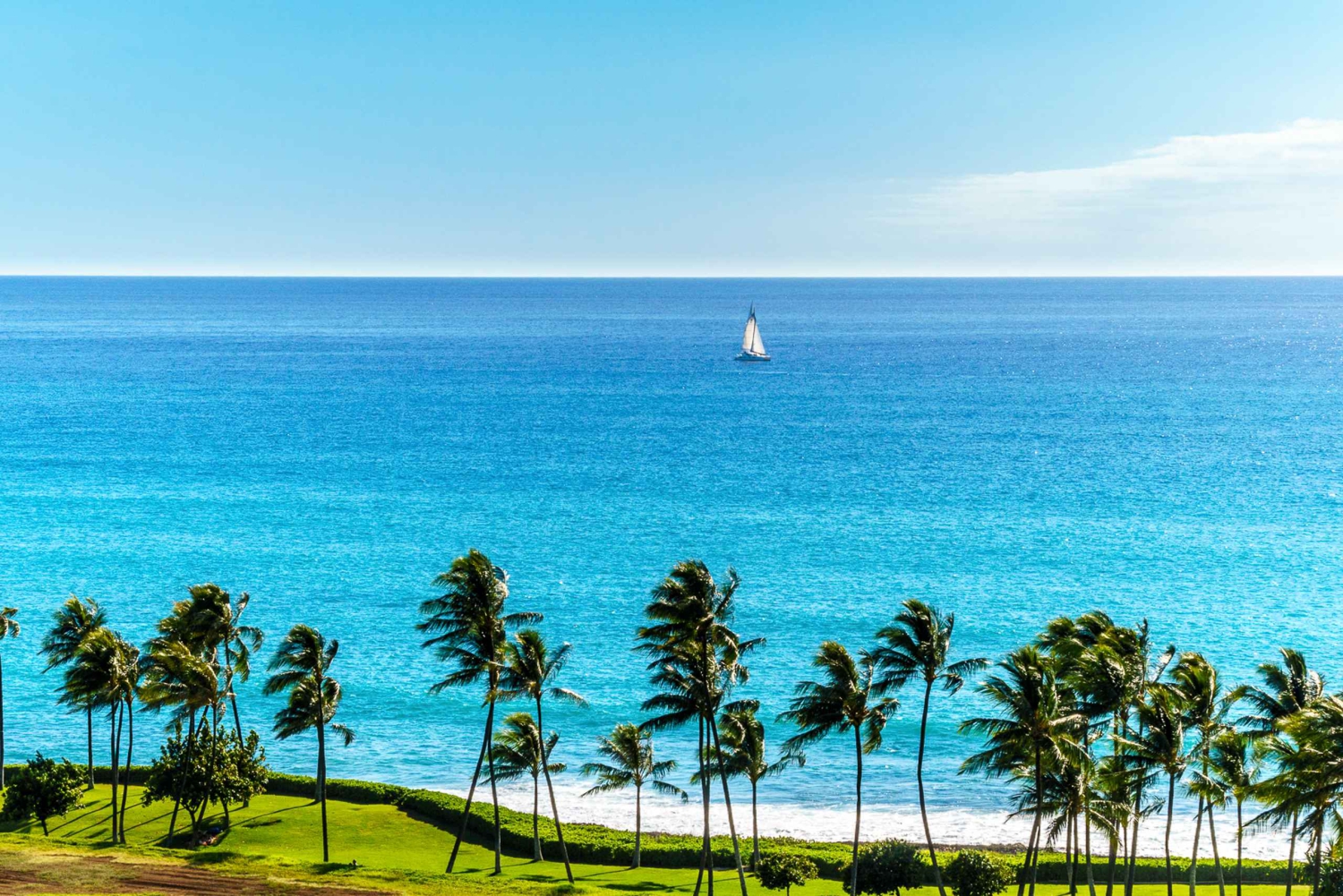 Oahu: West Oahu Sunset Cruise med cocktails og appetitvækkere