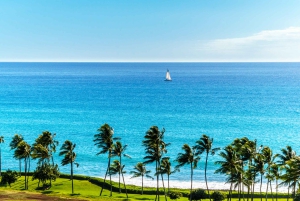 Oahu: West Oahu Sunset Cruise med cocktails og appetitvækkere