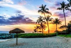 Oahu: West Oahu Sunset Cruise med cocktails og appetitvækkere