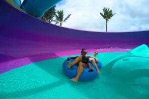 Oahu: Ingresso para o parque aquático Wet 'n' Wild com transporte para Waikiki
