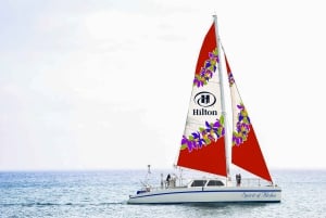 Oahu: Whale Watching Afternoon Sailing Cruise