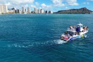 Oahu: Cruzeiro de observação de baleias ao pôr do sol Baleias garantidas