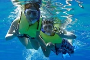 Oahu : Croisière de plongée avec masque et tuba pour les dauphins et baleines avec repas hawaïen