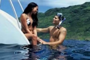 Oahu: Snorkelcruise med hvaler og delfiner med hawaiisk måltid