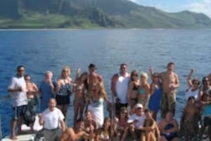 Oahu: Cruzeiro de mergulho com baleias e golfinhos com refeição havaiana
