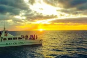 Oahu: Cruzeiro de mergulho com baleias e golfinhos com refeição havaiana
