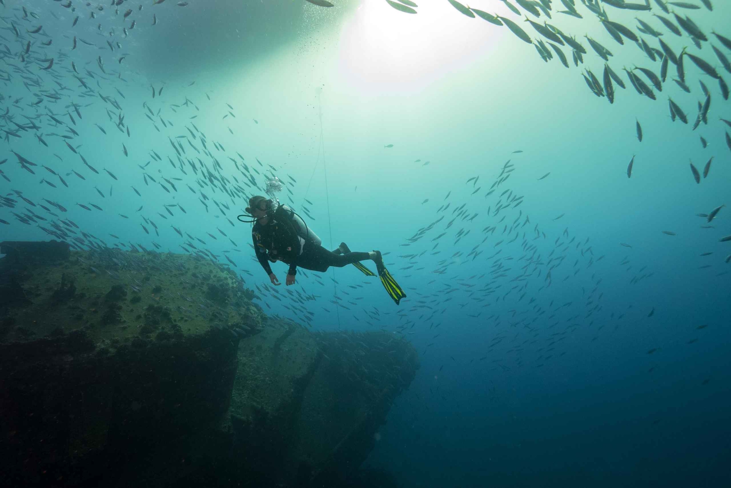 Oahu: Wreck & Reef Scuba Dive for Sertifioidut sukeltajat