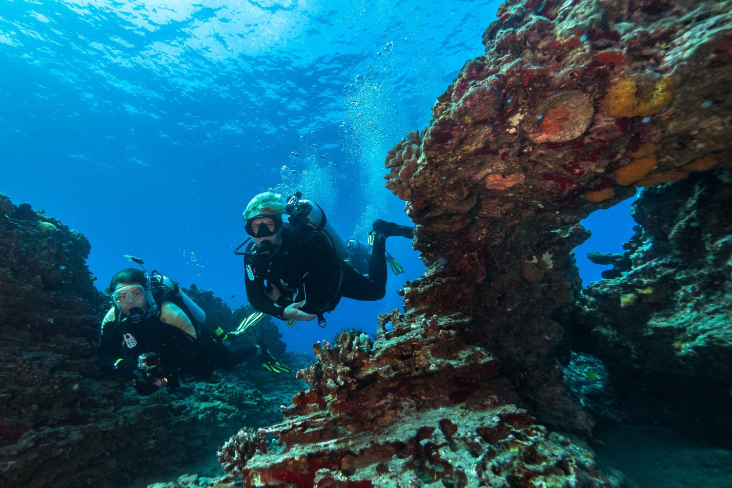 Oahu: Wreck & Reef Scuba Dive for Sertifioidut sukeltajat