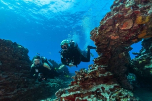 Oahu: Wreck & Reef Scuba Dive for Certified Divers