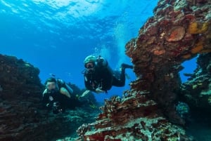 Oahu: Vrak- og revdykk for sertifiserte dykkere