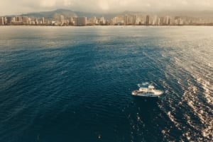 Oahu : Plongée sur épaves et récifs pour plongeurs certifiés