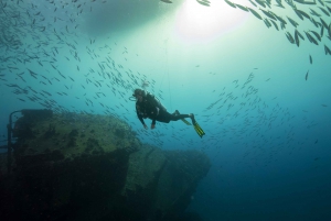 Oahu: Wreck & Reef Scuba Dive for Certified Divers