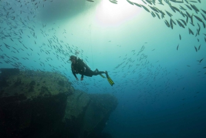 Oahu: Wreck & Reef Scuba Dive for Sertifioidut sukeltajat