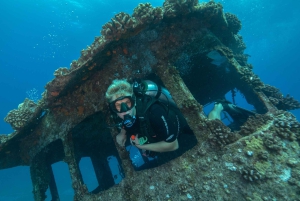 Oahu: Wreck & Reef Scuba Dive for Sertifioidut sukeltajat