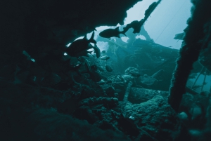 Oahu: Wreck & Reef Scuba Dive for Sertifioidut sukeltajat