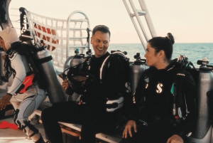 Oahu: Wreck & Reef Scuba Dive for Sertifioidut sukeltajat