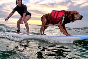 Oahu: A tua aula de surf privada em grupo em Waikiki
