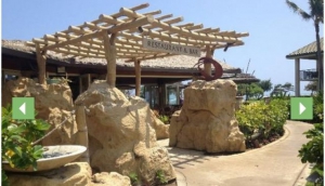 Oasis on the Beach