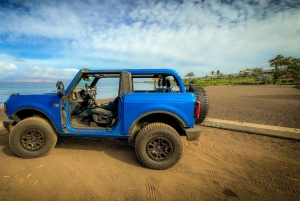 Offroad-kusttur 4x4-fordon med snorkel Foto + video