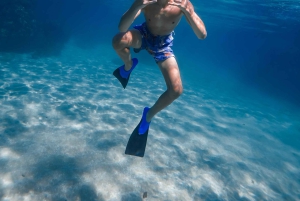 Offroad-kusttur 4x4-fordon med snorkel Foto + video